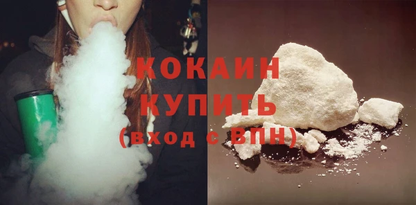 гидра Богородицк